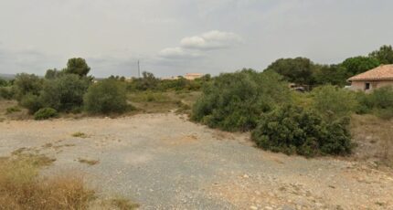 La Palme Terrain à bâtir -  Maisons de Manon