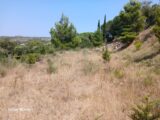 Terrain à La Palme  Maisons de Manon