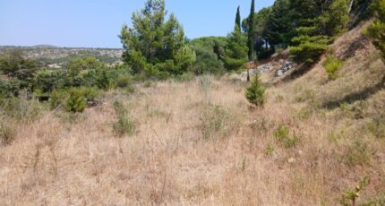 La Palme Terrain à bâtir -  Maisons de Manon