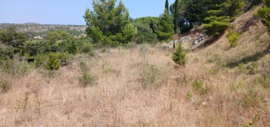 Terrain à bâtir à La Palme, Occitanie